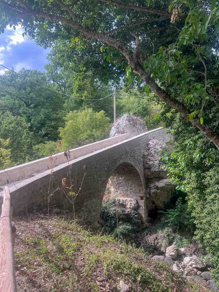 ponte in pietra a una sola arcata su un fosso, tra gli alberi